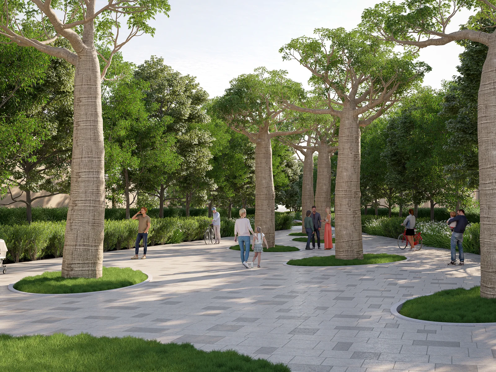 Sobha Elwood, baobab tree grove in the themed forest park